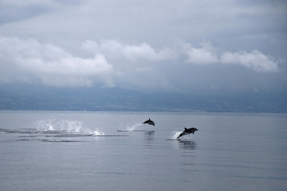 TOPSHOTS-PORTUGAL-AZORES-TOURISM