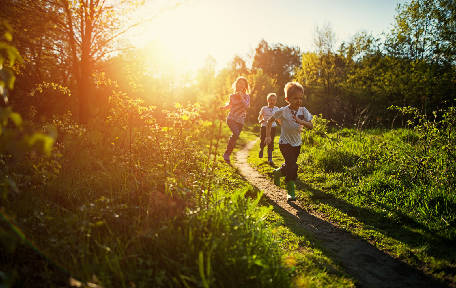 Første rapport om biodiversitet viser vejen til naturpositive investeringer