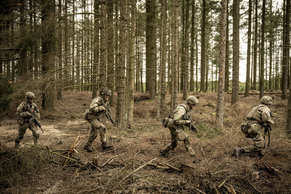 Denmark Army Drill