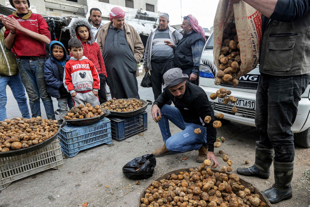 SYRIA-CONFLICT-TRUFFLES-IS-LANDMINES