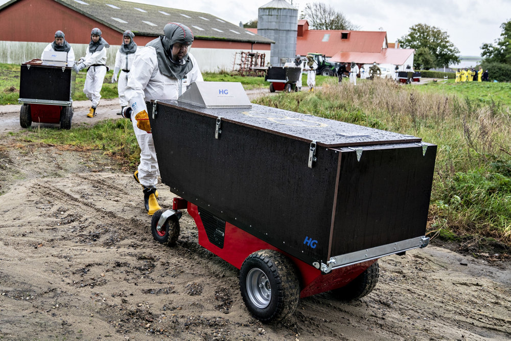 PLUS Minkavlere får historisk stor erstatning