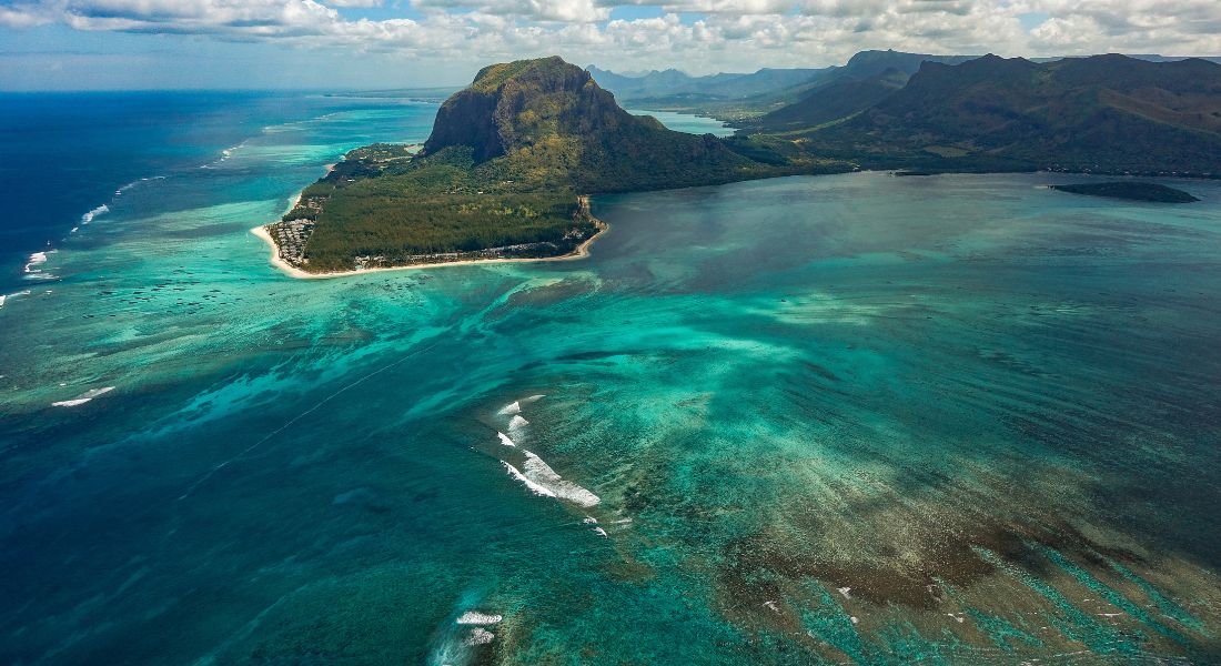 “Mange planter, og særligt på tropiske øer som Mauritius, er afhængige af, at dyr hjælper med at sprede deres frø. Hvis dyrene, der kan hjælpe med at sprede frøene, uddør, kommer planterne i problemer,