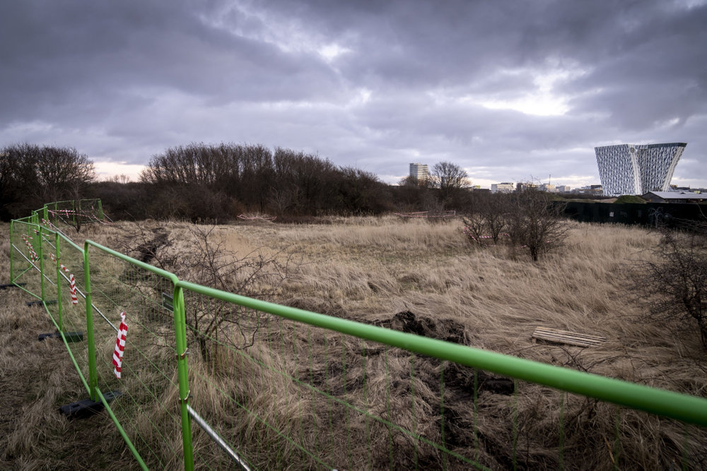 Amager Fælled