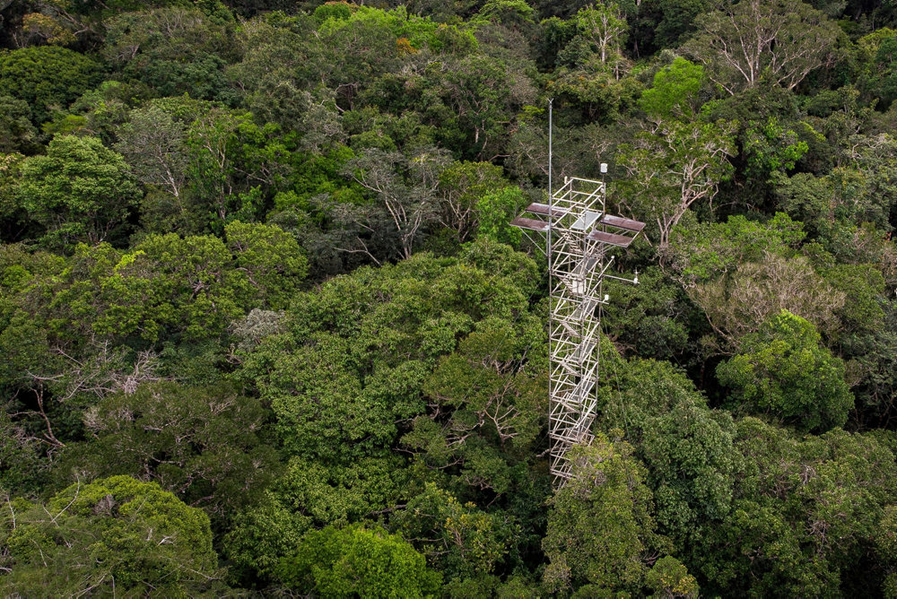 AmazonFACE or Free-Air CO2 Enrichment project in Manaus