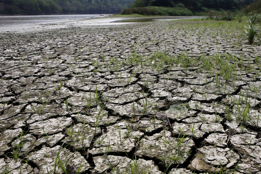 FILE PHOTO: An area is uncovered by the lowering of the water level from the Magdalena river, the longest and most important river in Colombia, due to the lack of rain, in the city of Honda