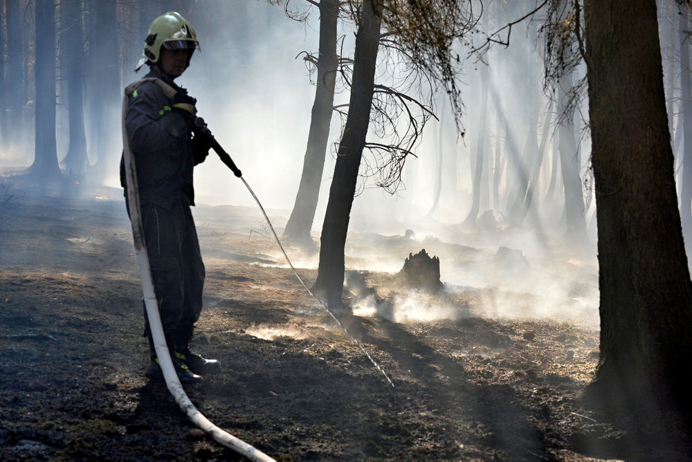 Forrest fire, firefighters