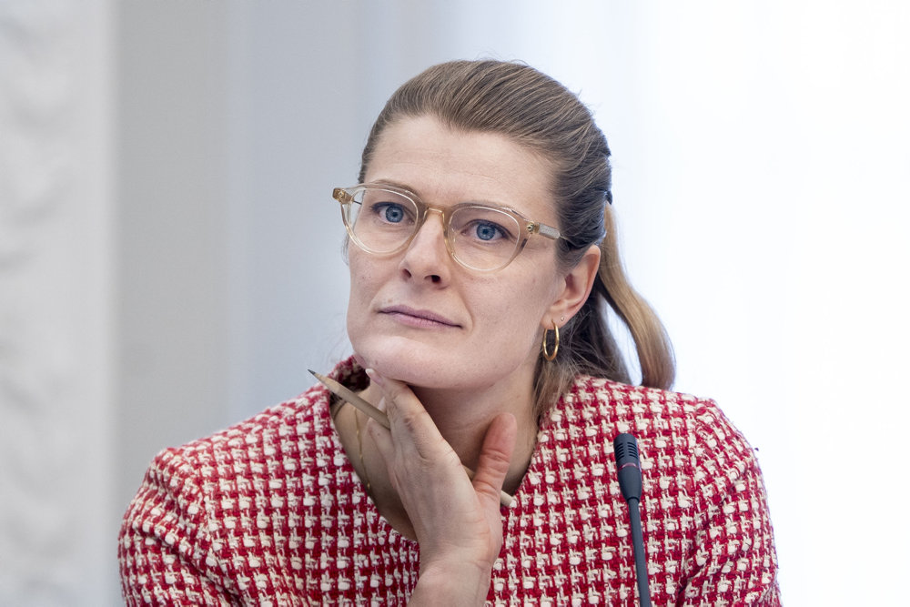 Beskæftigelsesudvalget har Ane Halsboe-Jørgensen (S) i samråd