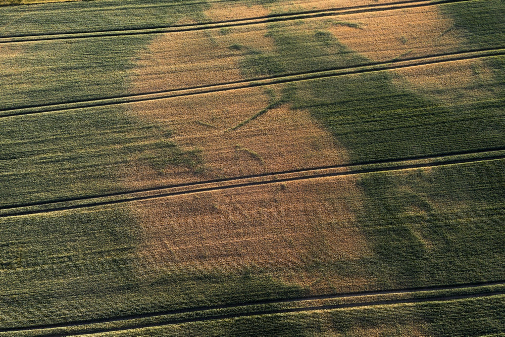 Denmark Weather Drought