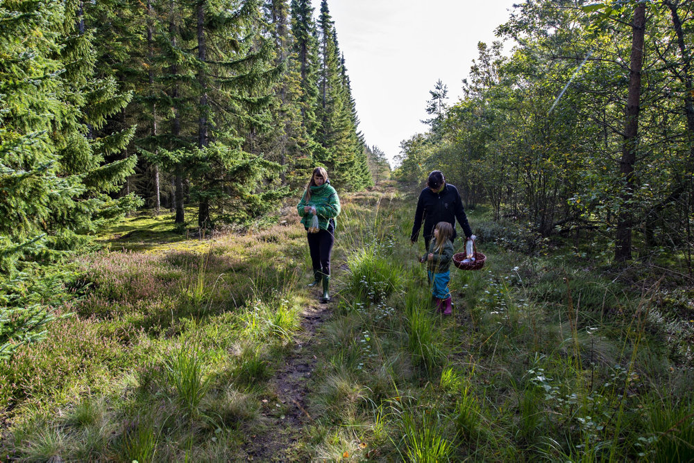 Nydeligt efterårsvejr på vej