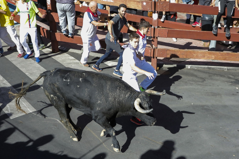 Bull run in San Sebastian de los Reyes