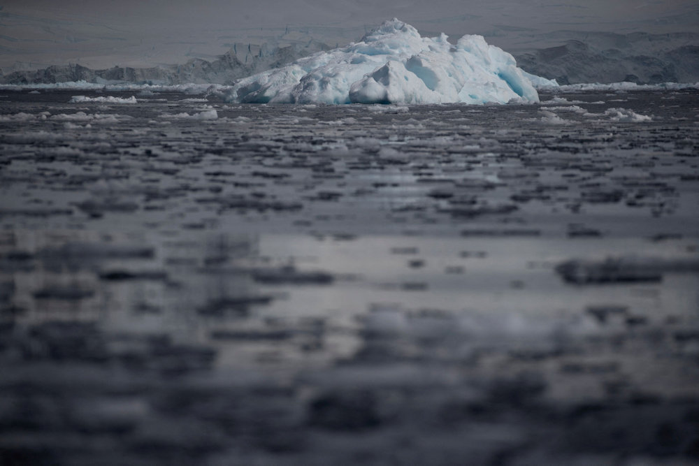 FILE PHOTO: On board the Antarctic expedition that reveals dramatic penguin decline